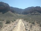Plateau Point Trail