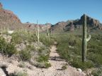 Alamo Canyon Trail