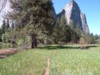 El Capitan Meadows