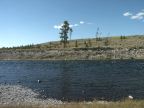 Madison River
