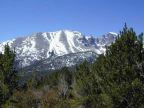 Wheeler Peak